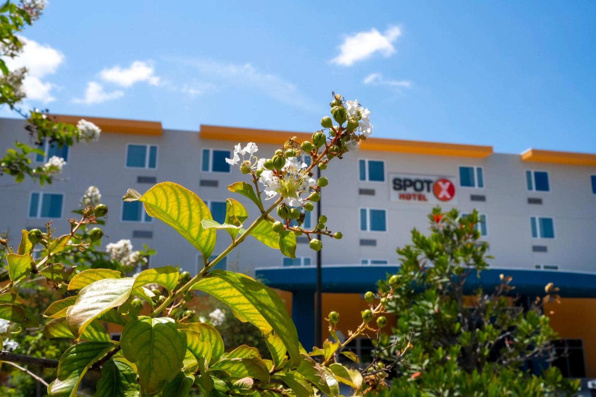 Spot X Hotel Orlando Intl Dr By The Red Collection Lake Buena Vista Eksteriør bilde